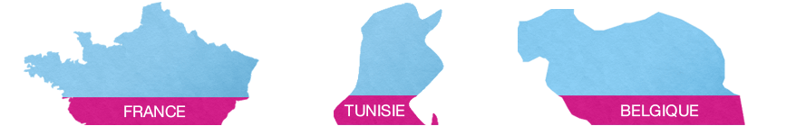 Projet de chirurgie esthétique en France, Tunisie et Belgique